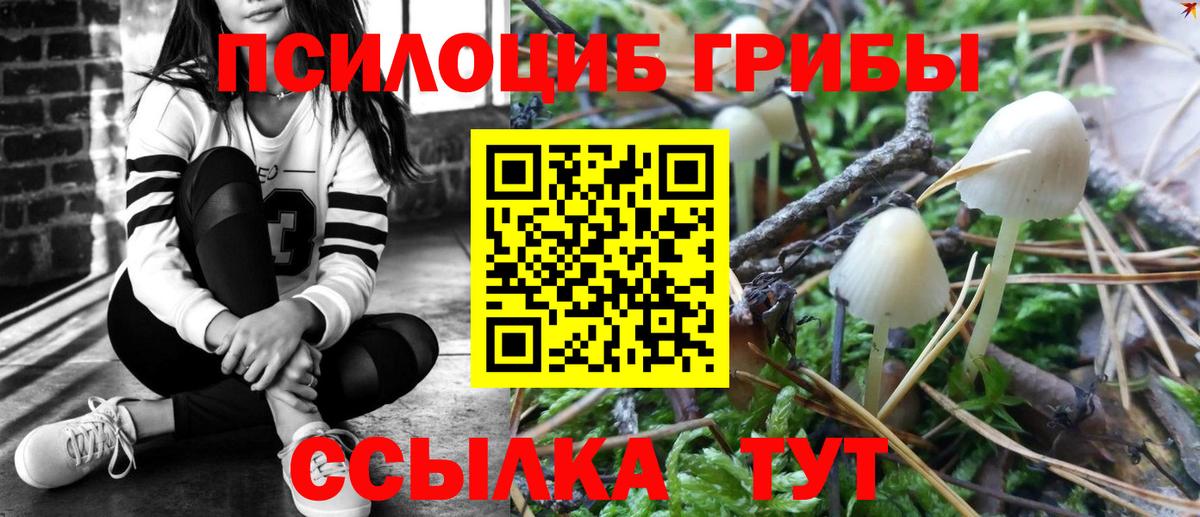 Псилоцибиновые грибы Psilocybine cubensis Оренбург