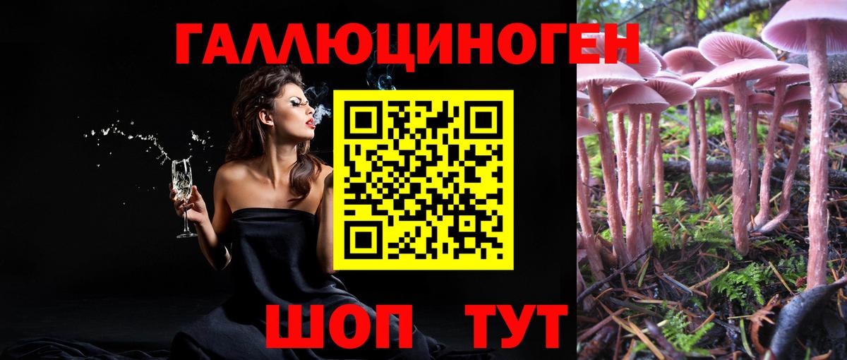 Псилоцибиновые грибы прущие грибы  Вход с VPN  Оренбург 